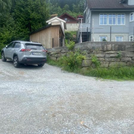Nyoppusset Leilighet Sogndal Eksteriør billede